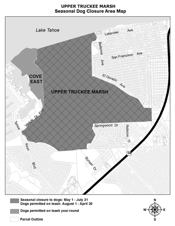 California Tahoe Conservancy Announces Seasonal Dog Closure to Protect Wildlife at Upper Truckee Marsh