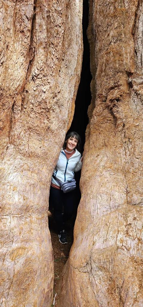 Women standing in Sequoia trees Trail of 100 giants