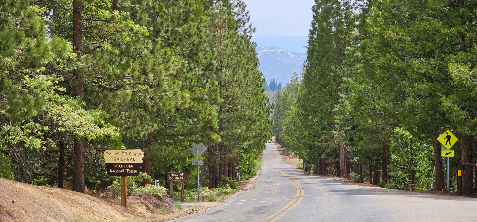 Travel Tips for the Western Divide Highway