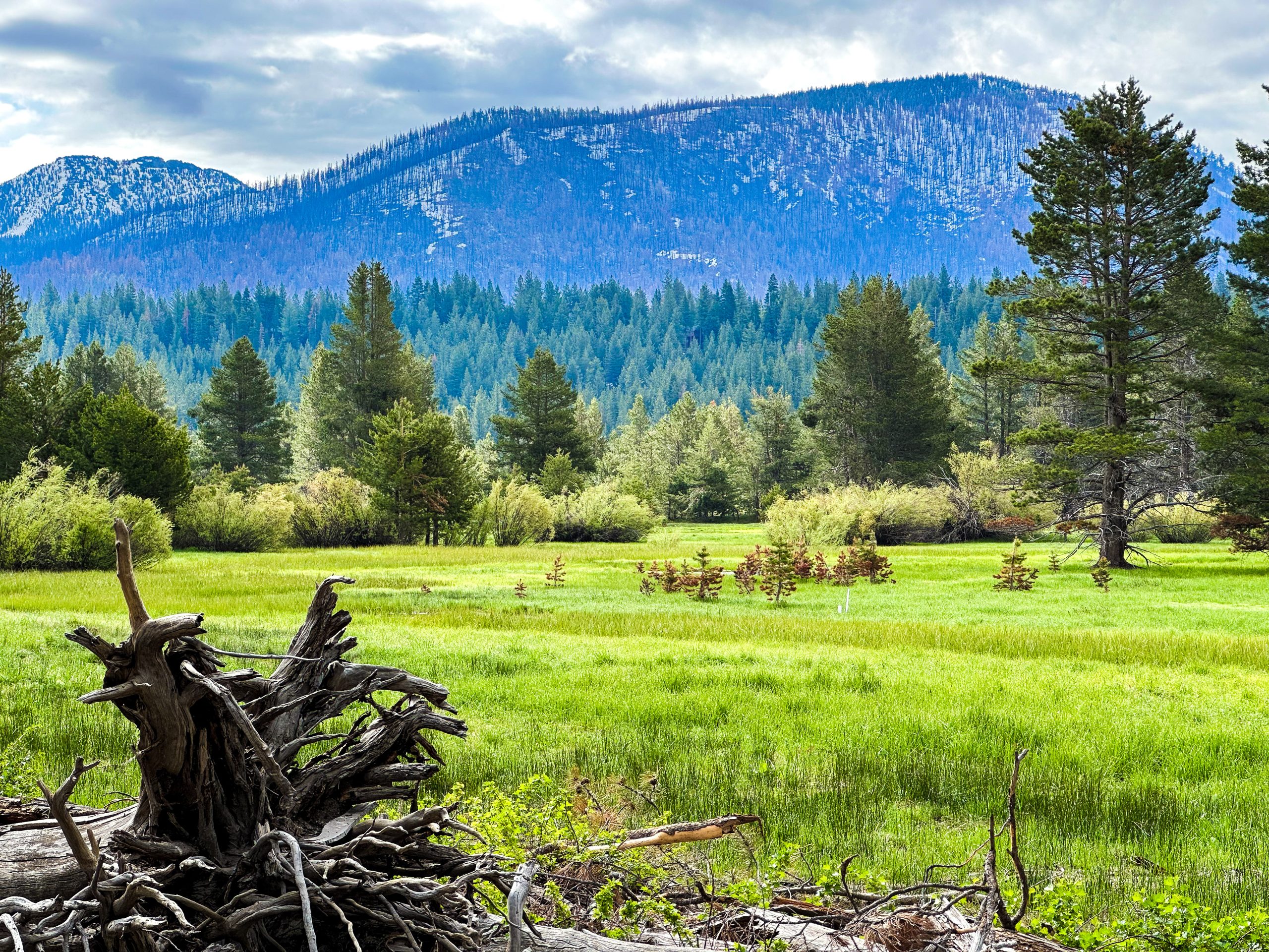 Experience Washoe Meadows State Park In Lake Tahoe California 