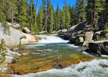 Dana Fork Tuolumne River Yosemite
