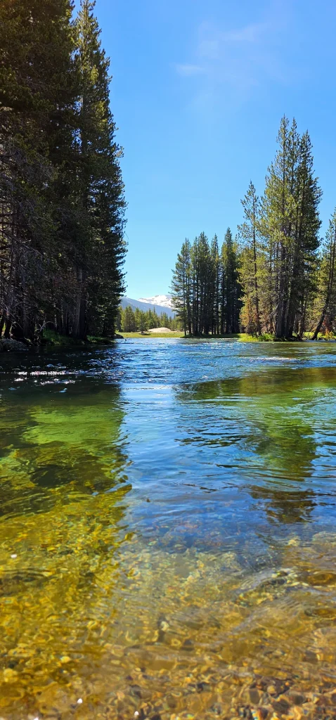 Lyell Fork Tuolumne River