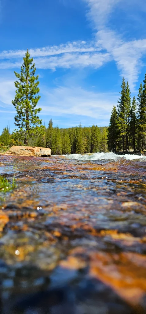 Lyell Fork Tuolumne River