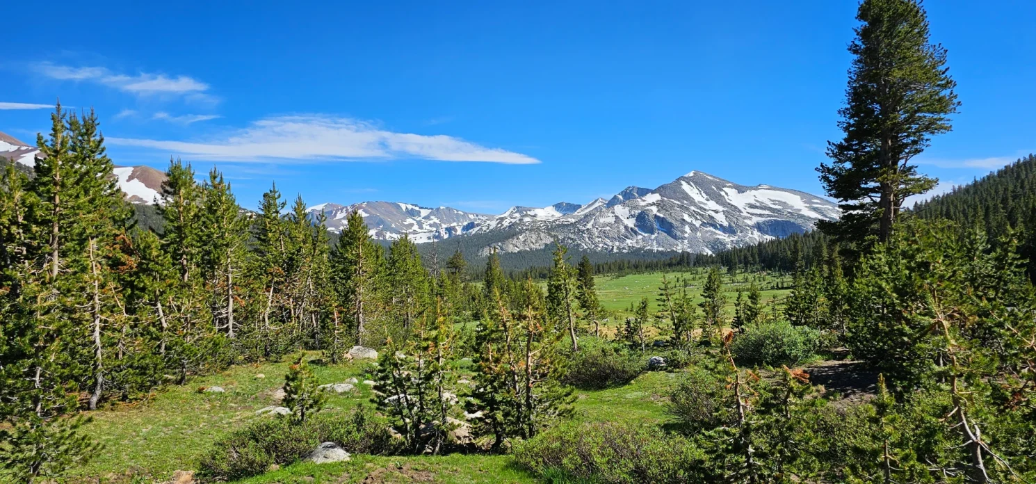 Mammoth Peak Yosemite