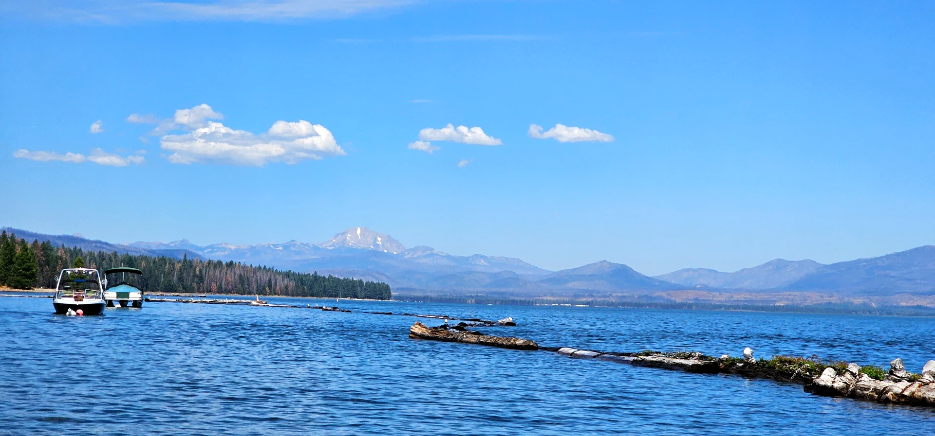 Kicking Off Summer at Lake Almanor
