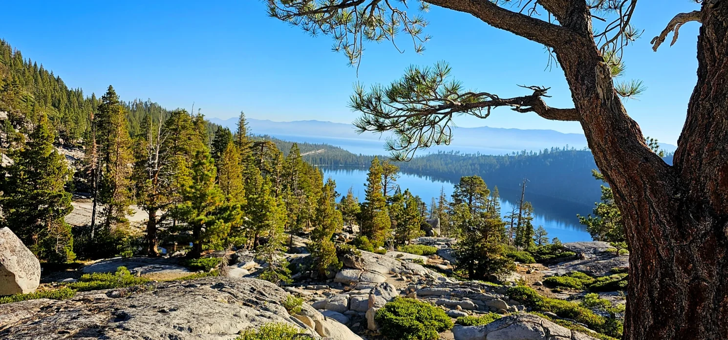 Cascade Lake Trees Lake Tahoe sunrise