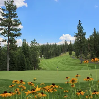 golf green wild flowers