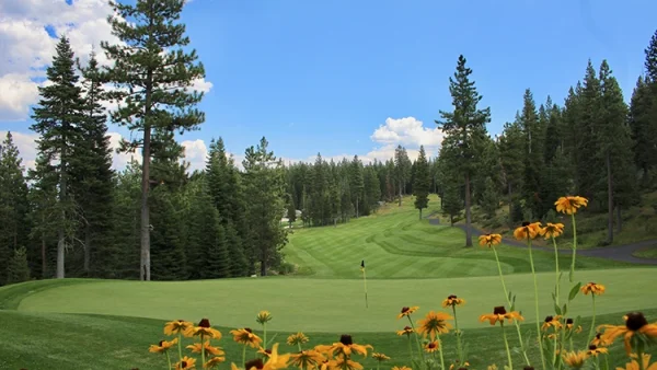 golf green wild flowers