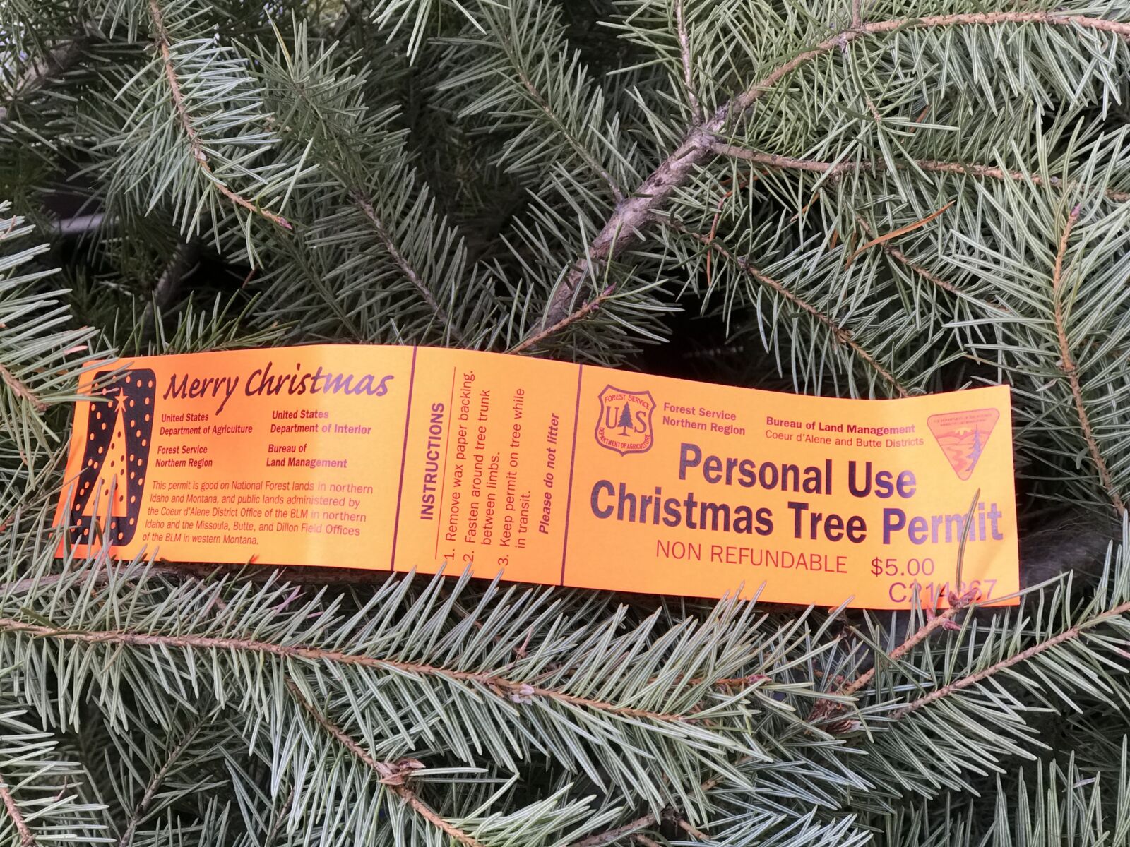 Tahoe Basin Pauses Christmas Tree Permit Program for 2024: