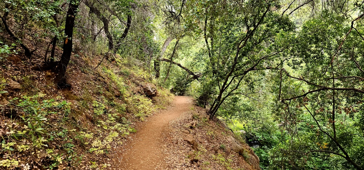 Trail along the West Fork of the Kaweah river
