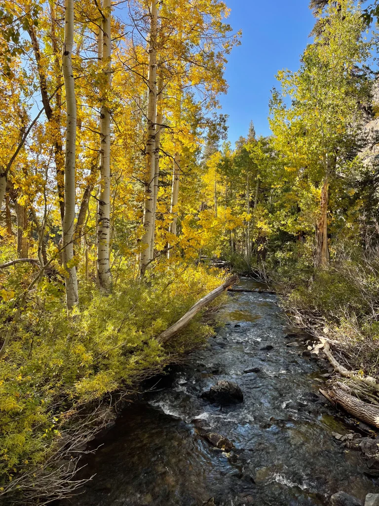 Shadow Creek Fall Colors