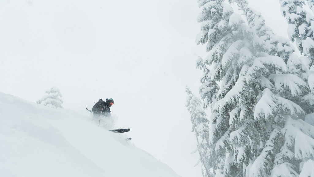 Skier in Powdery snow