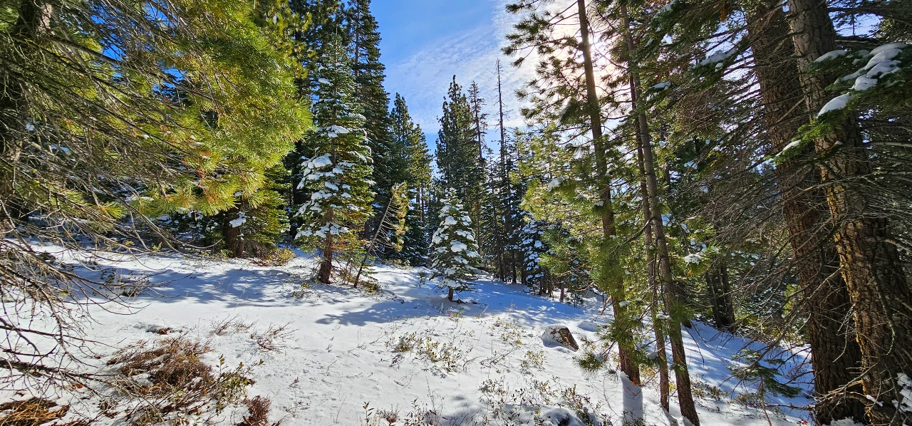 Early Season Snowshoeing Difficult in the Sierra