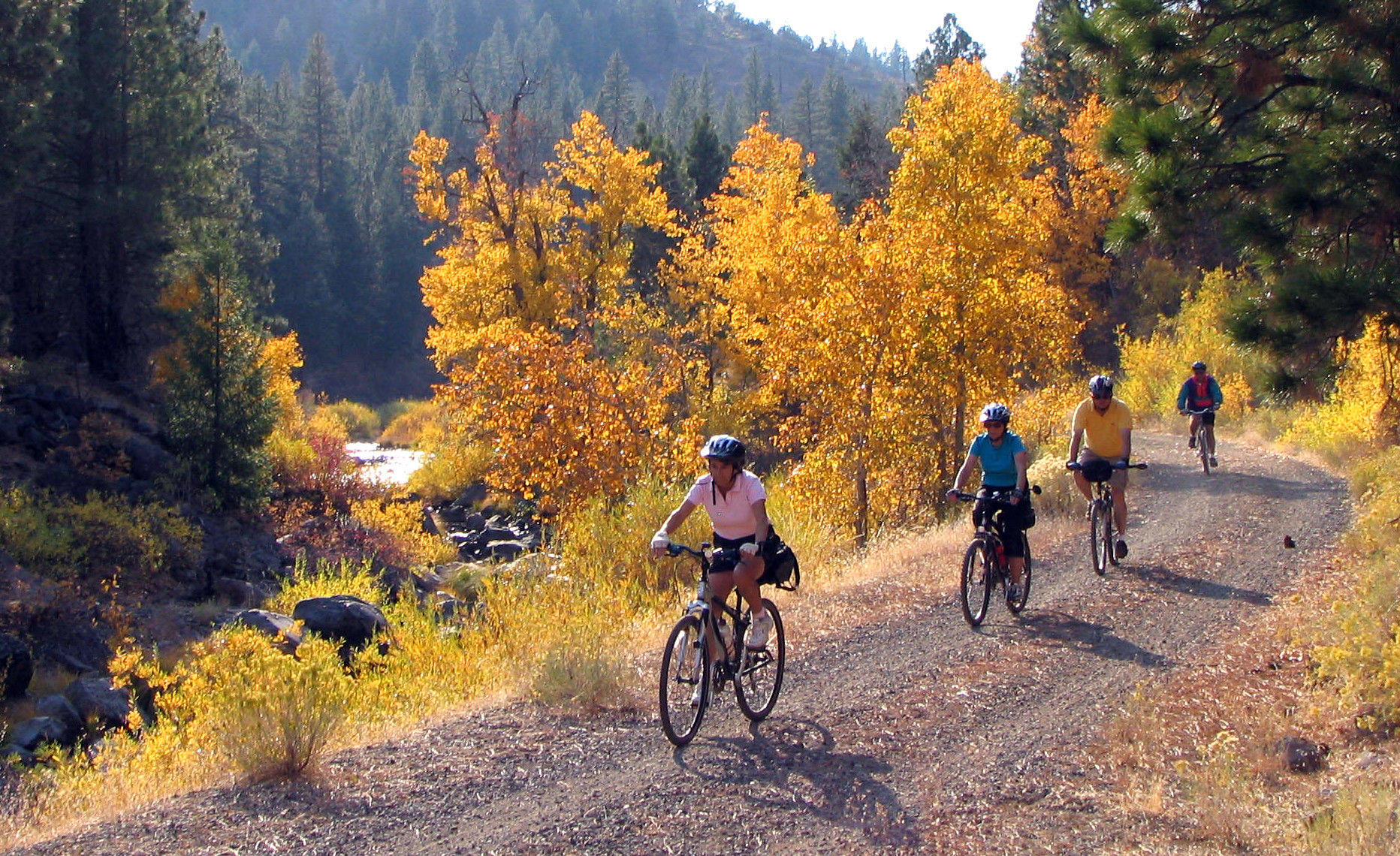 Embark on a New Adventure in 2024: Discover the Bizz Johnson National Recreation Trail”