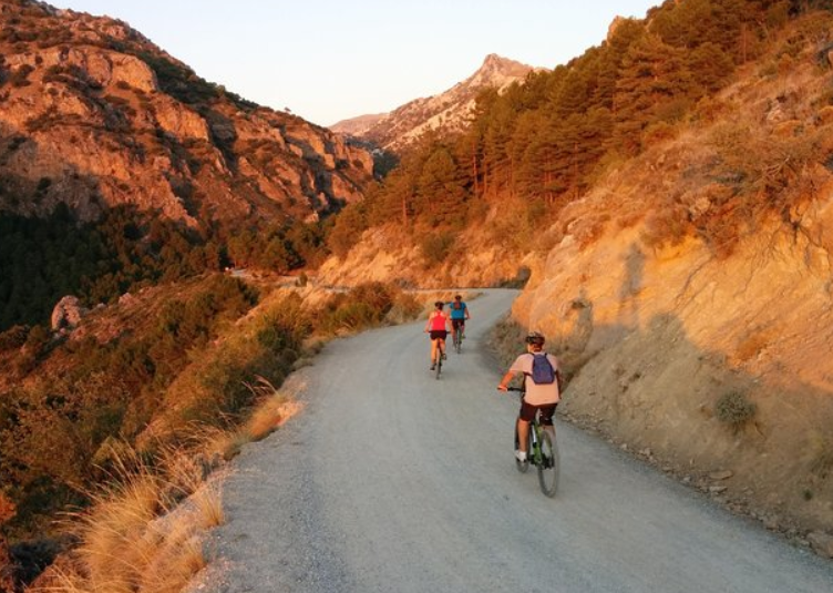 Mountain bikers sierranevada