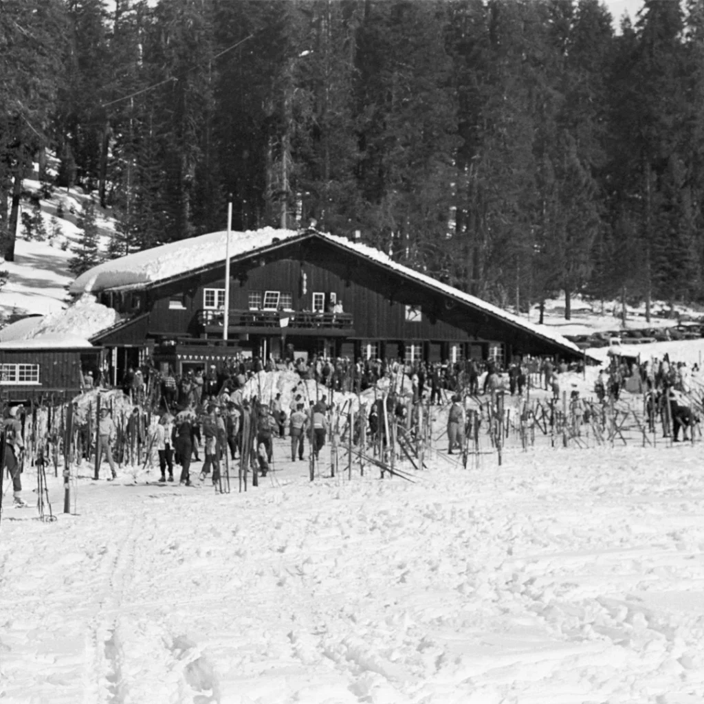 Badger Pass Yosemite