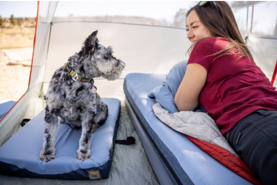 Man’s Best Friend on the Mountain: Sierra Adventures with Comfort and Style