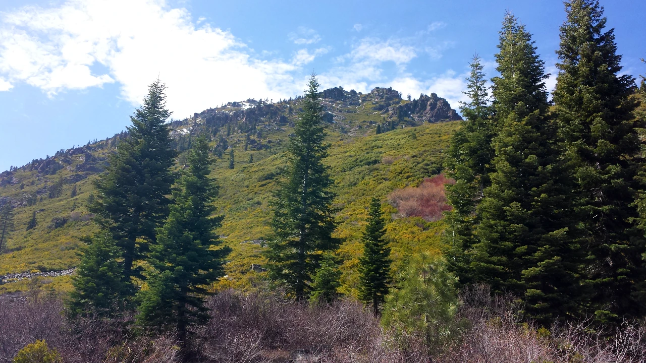 A Spring Adventure Awaits at Plumas-Eureka State Park