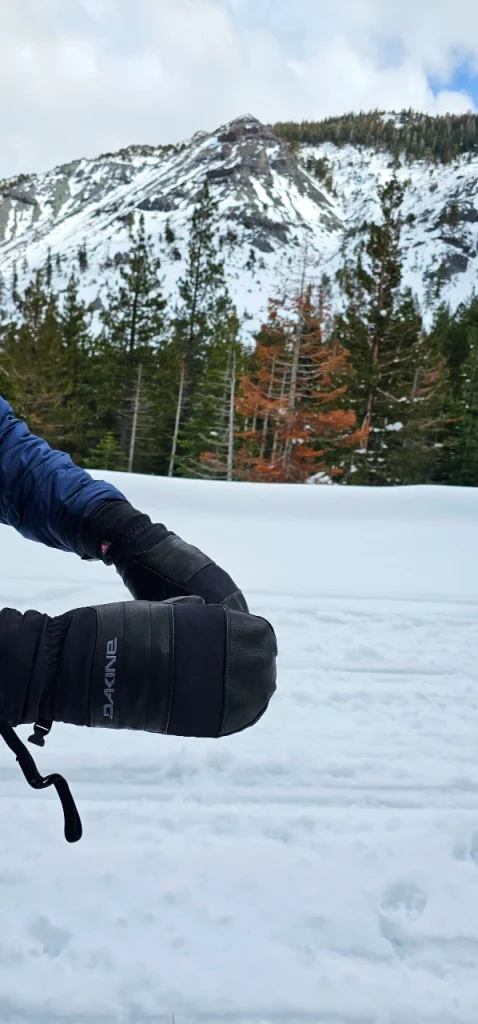 Dakine Gortex Mitten