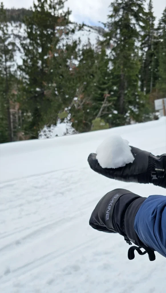  Dakine Baron GORE-TEX Index Mitts Snowball