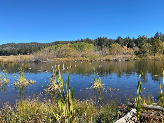 $375 Million for Lake Tahoe Recreation, Conservation, and Wildfire Prevention