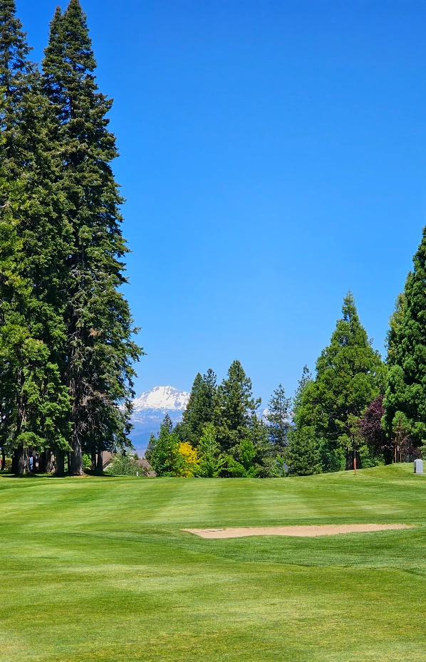 Almanor Country Club hole 3
