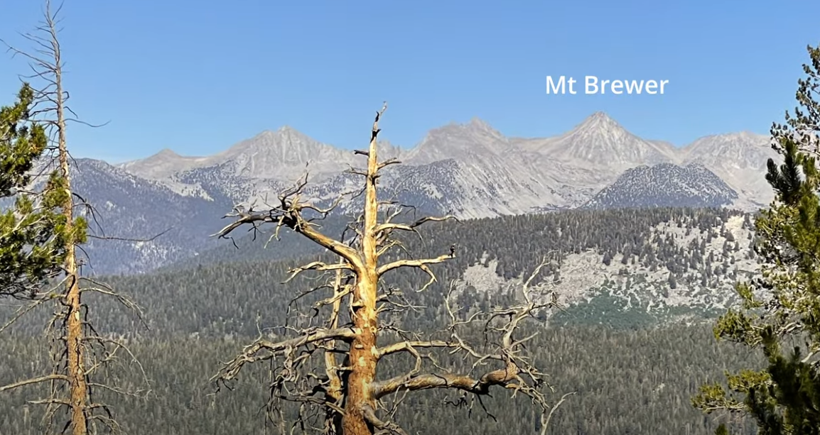 Rediscovering the Sierra with Richard Cliff and Elvis Fu