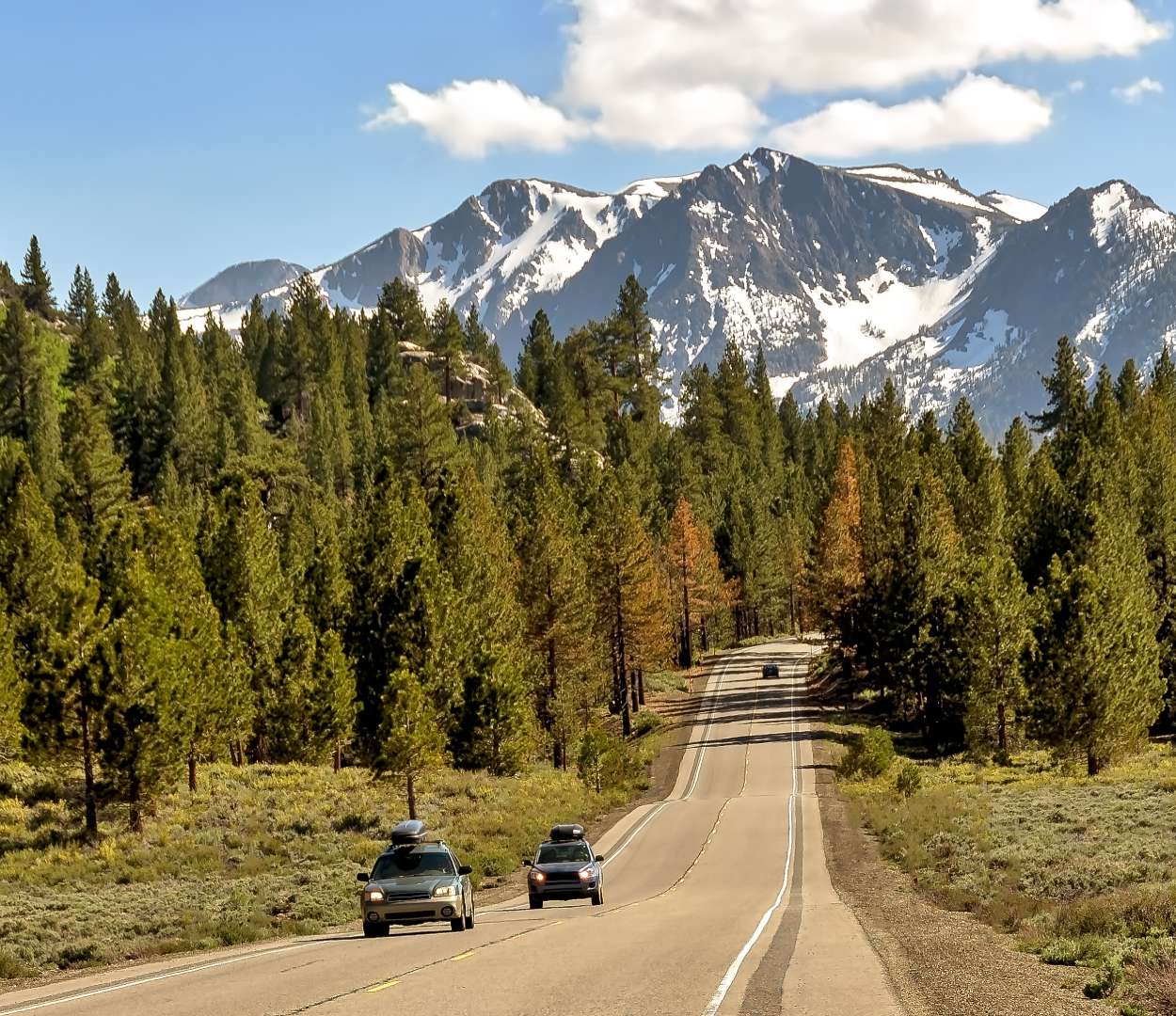 Vehicle Camping in the Sierra Nevada: What To Know
