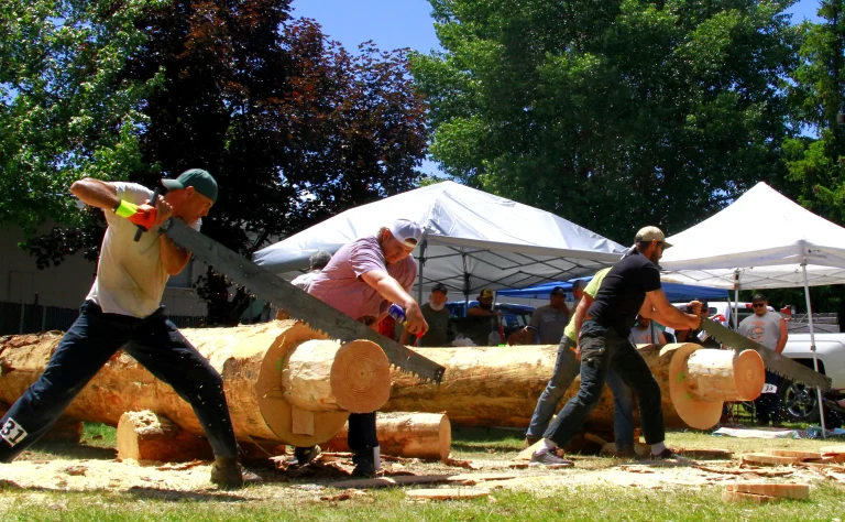 Cross Saw Competitor