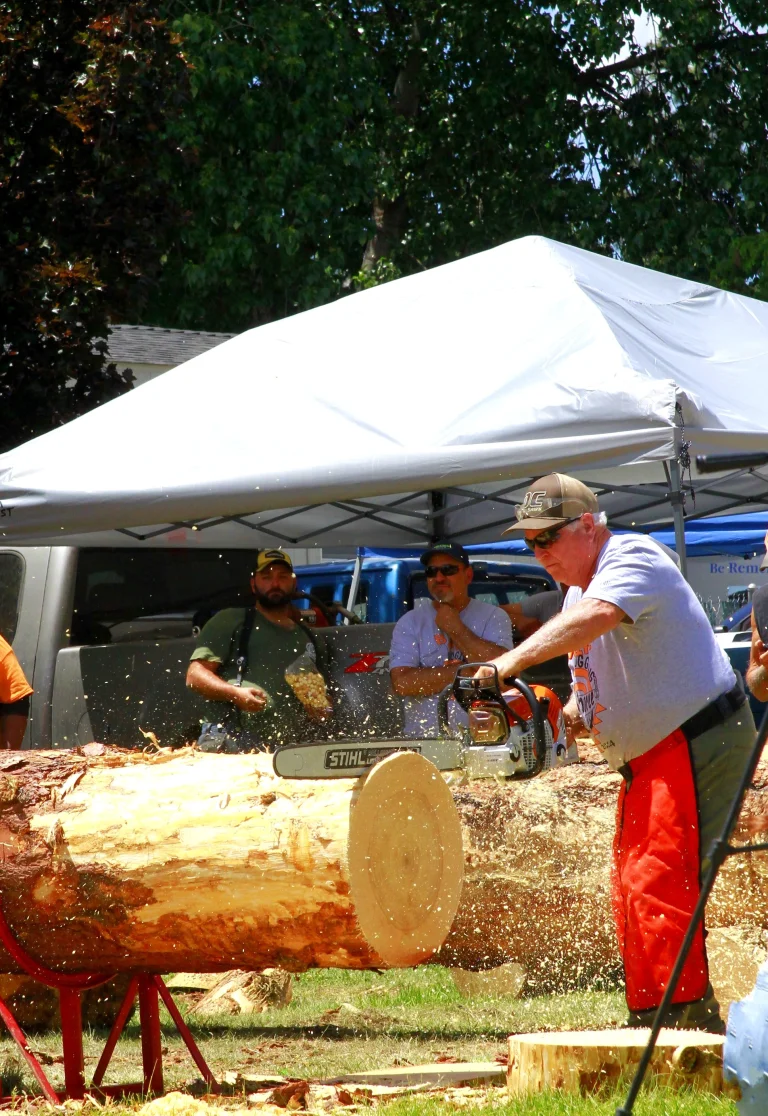 Chain saw competitor