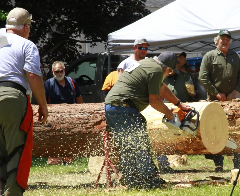 Chain saw competitor