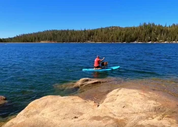 Learning to Paddleboard: Canine Companion on Blue Lakes