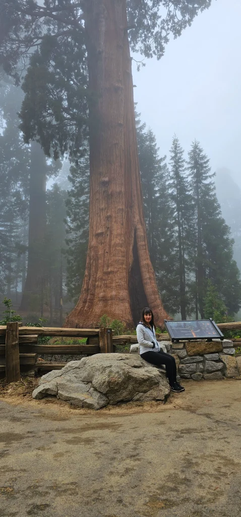 Lady poses in from of Sequoia tree giant Museum
