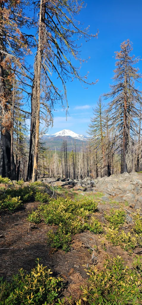 Lassen Peak