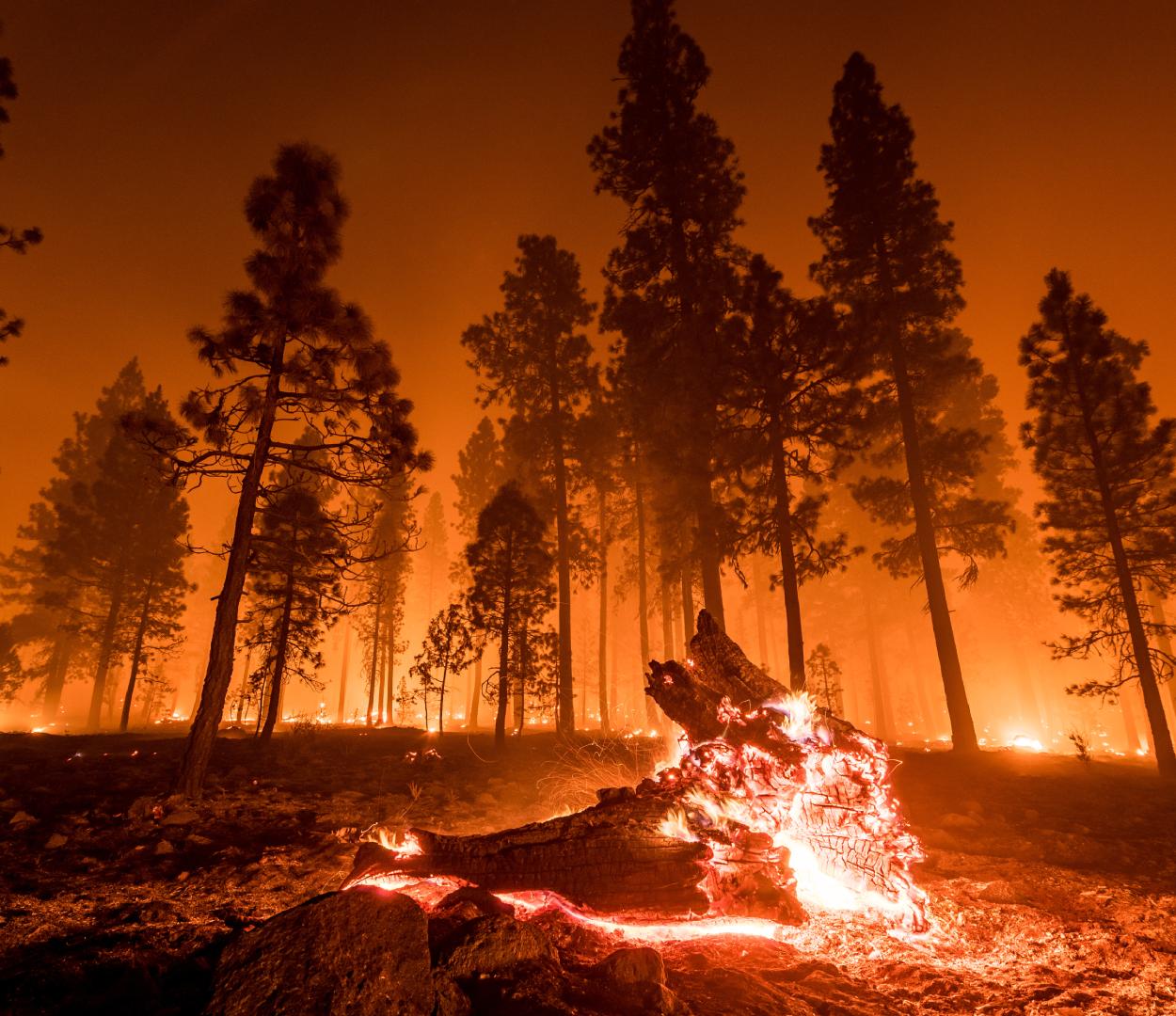 When Is Wildfire Season and How Can You Prepare?