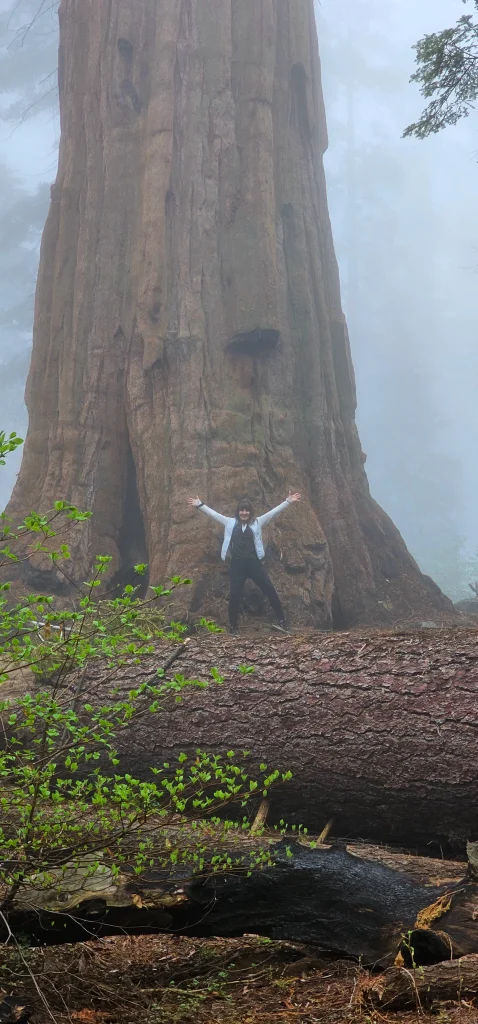 Female at base of Sequoia in fog