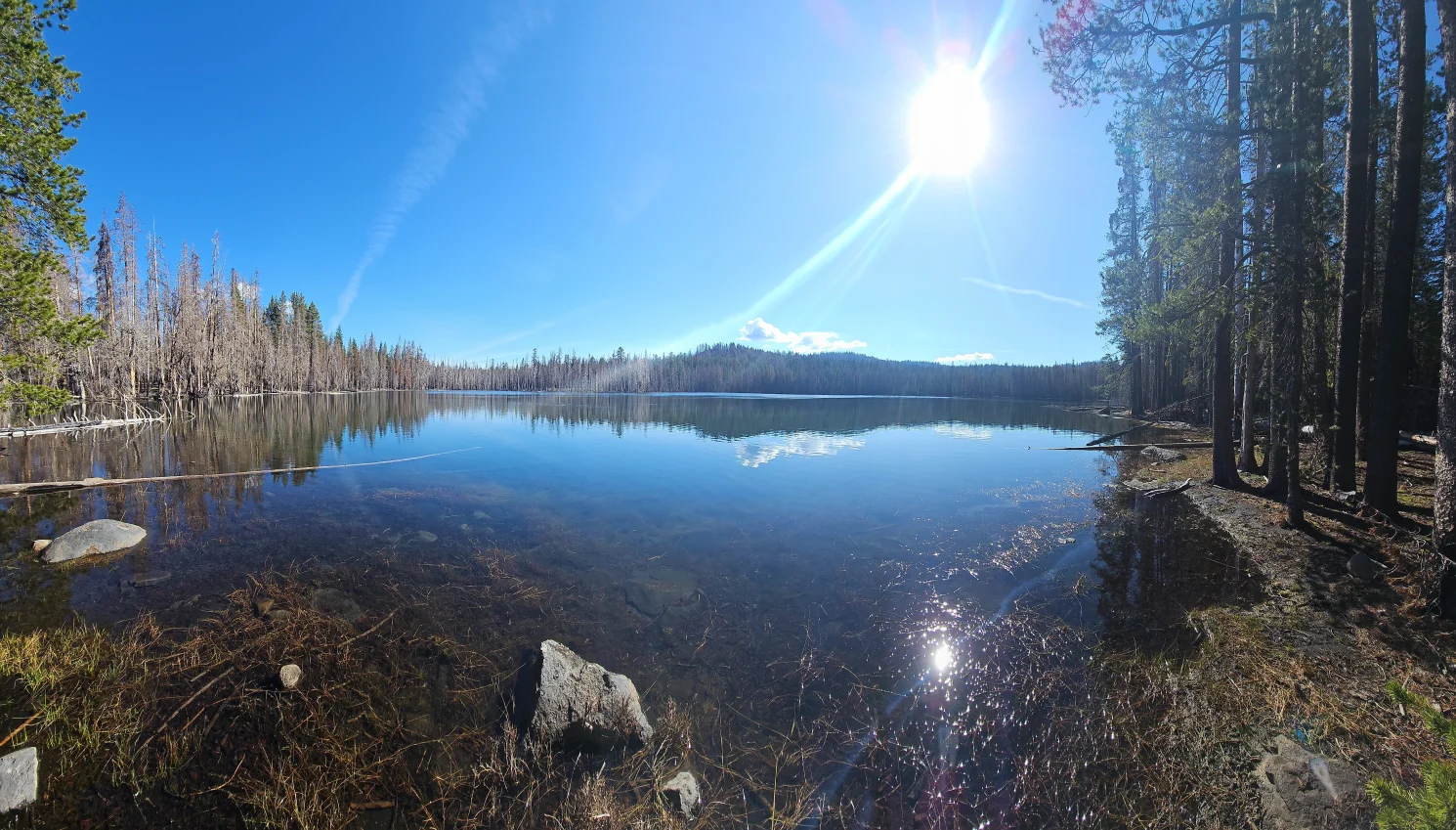 Widow Lake