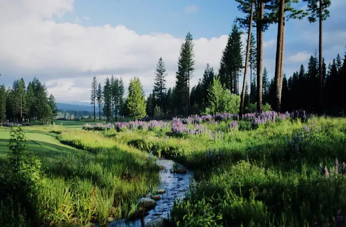 White Hawk Golf Course