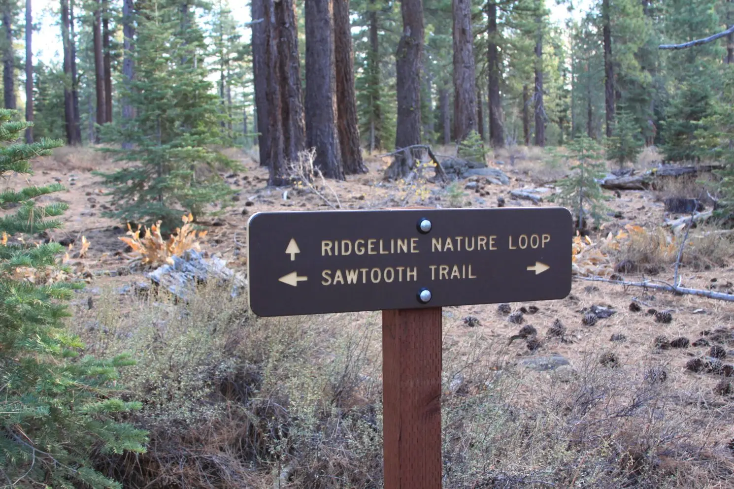 Sawtooth Trail Truckee