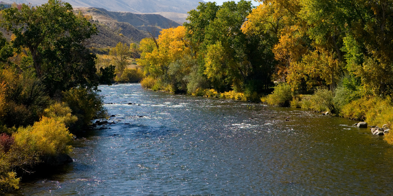 Truckee river fall