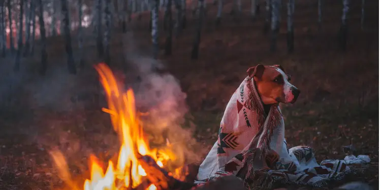 Fall Camping Secrets of the Sierra