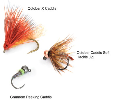 Caddis