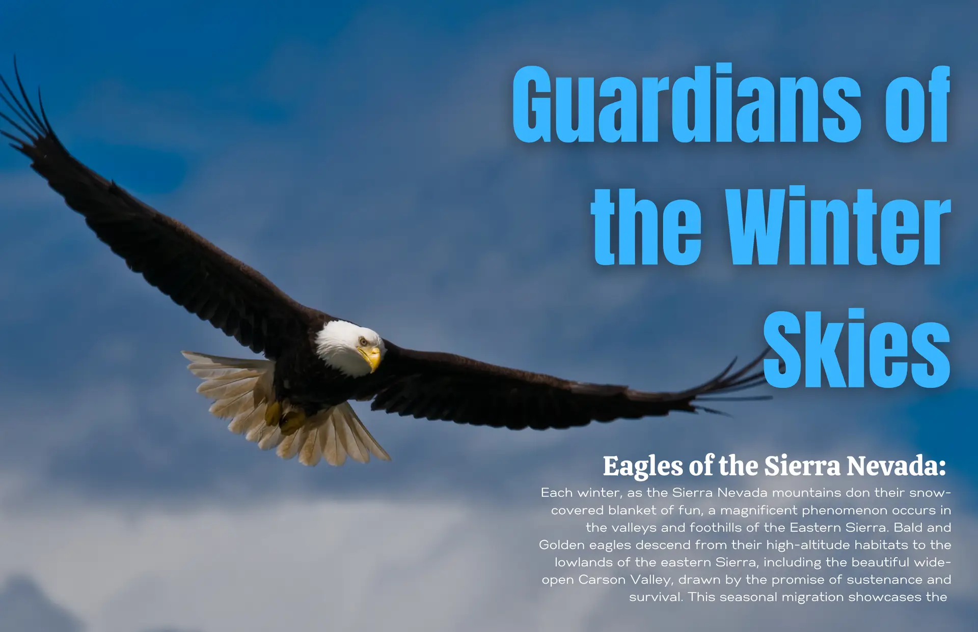 Guardians of the Winter Skies