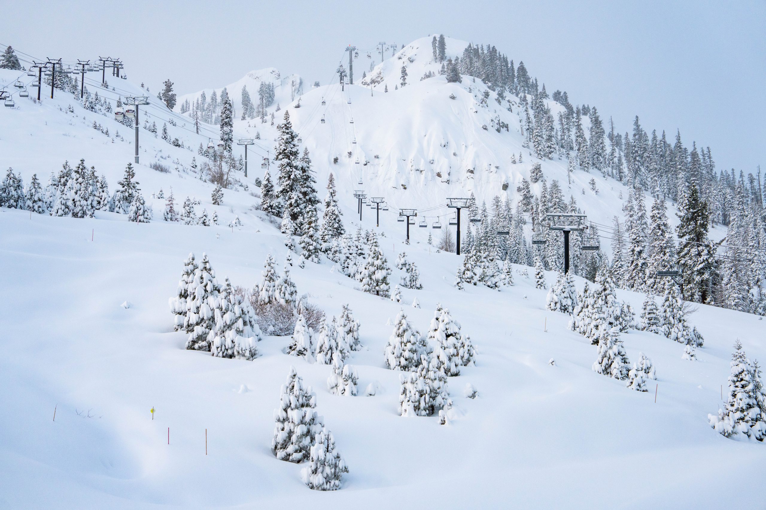 Winter Returns to the Sierra Nevada with Fresh Powder and More Snow in the Forecast