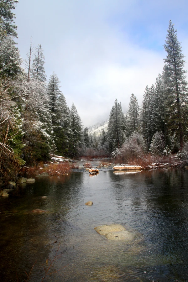 South Fork of the Merced River in Wawona at Swinging Bridge