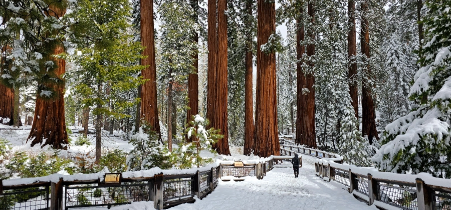 Beyond the Valley: A Perfect Yosemite Retreat