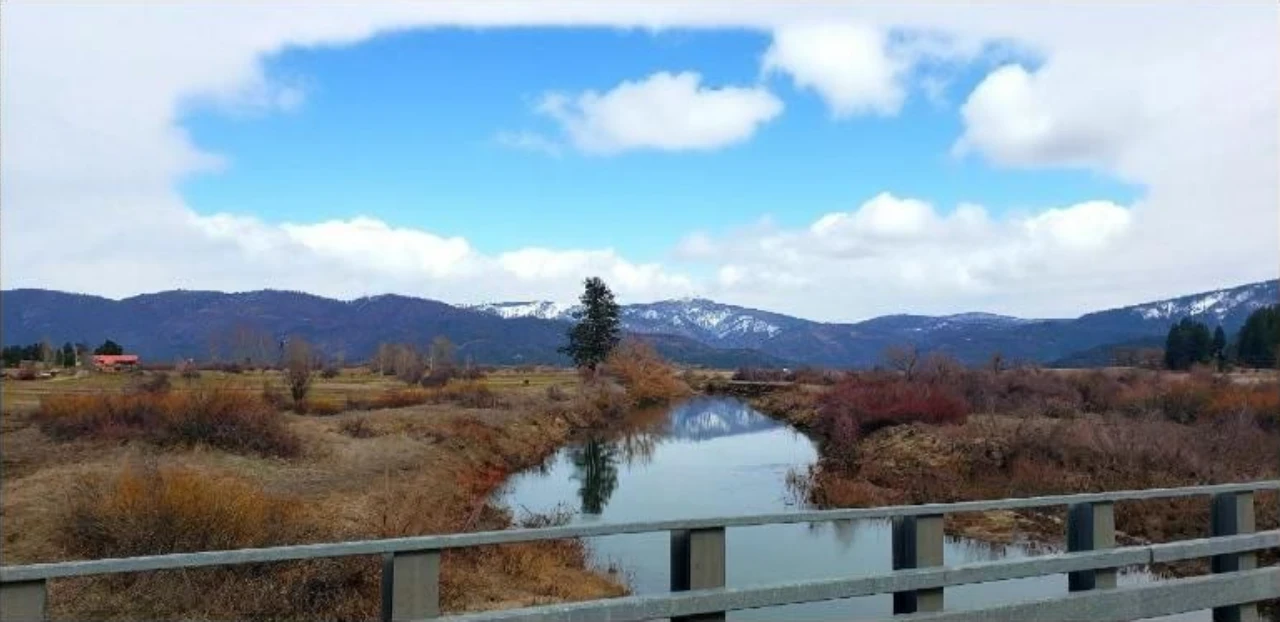 From Burn Scar to Rebirth: How Greenville is Rebuilding the Canopy of the Northern Sierra