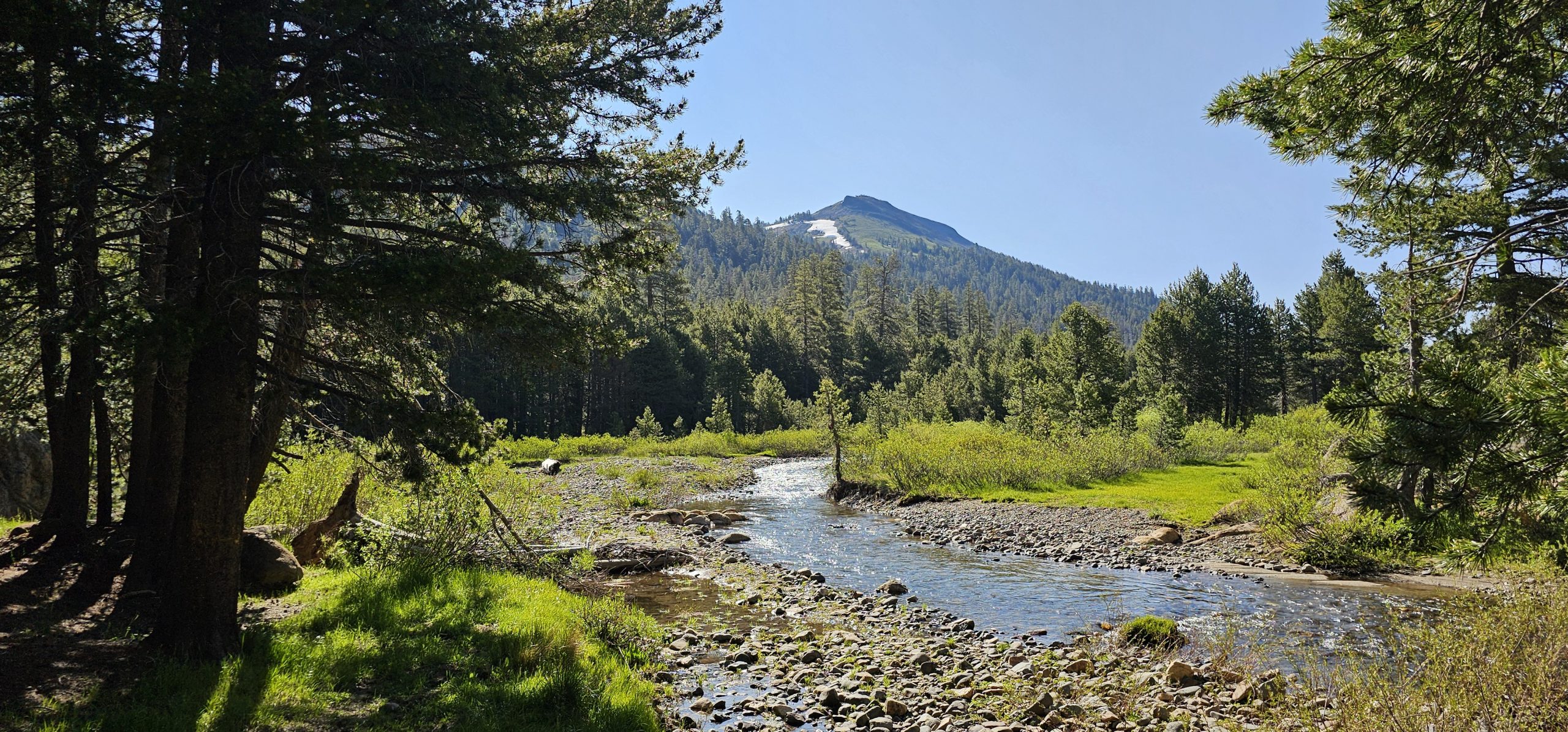 Highland Lakes Dispersed Camping & Gardner Meadow Loop Hike