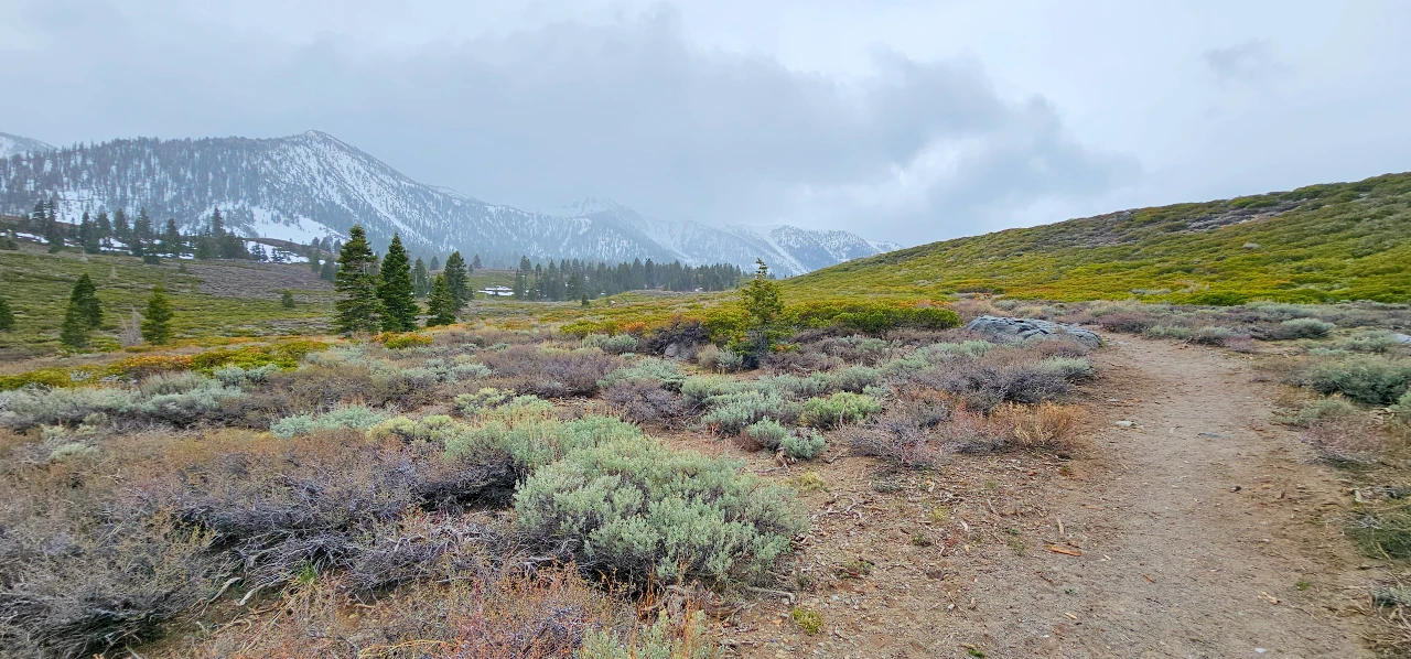 TRail in the Sherwins
