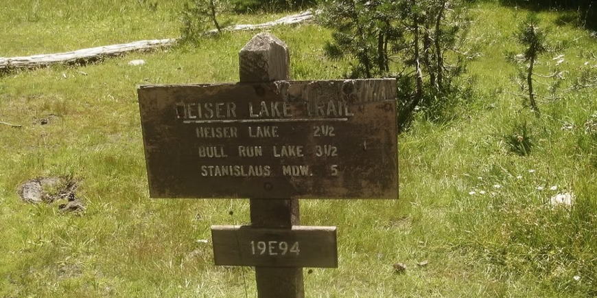 Join the Bear Valley Trail Work Day: Give Back to the Trails You Love This Saturday